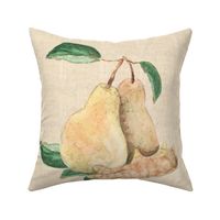 Pear and Ginger Root for Pillow