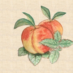 Peach and Mint for Pillow