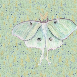 Luna Moth Watercolor on Wildflower Field for PIllow