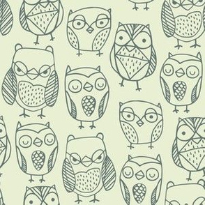 Wise Owls 