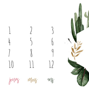 French 1-Meter // Boho Tropical Florals Baby Milestone