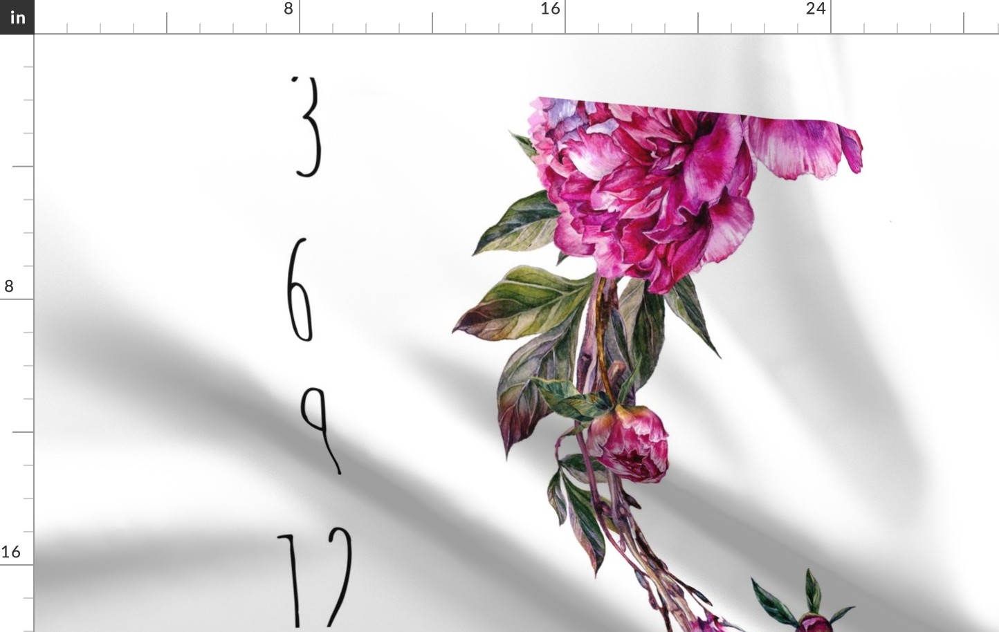 French 1-Meter // Peony Blooms Baby Milestone
