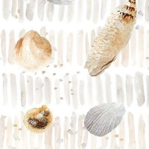 Seashells on Sand Large