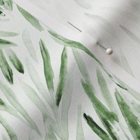 Khaki eucalyptus leaves • watercolor nature