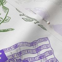 Feminist Pioneers Toile Purple & Green