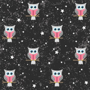 Owl Reading Under the Stars: Grey Owl Dark Grey Background