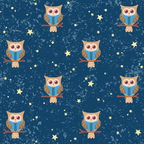 Owl Reading Under the Stars: Brown Owl Blue Background