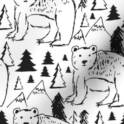 8" Baby Bear Sketch 