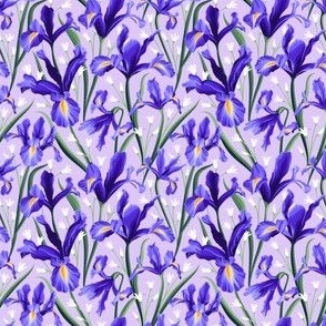 Iris Blue & Bluebells Violet Small