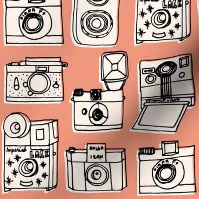 Vintage Cameras // blush peach rose coral kids nursery girls vintage shabby chic