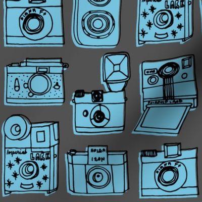 Vintage Cameras // vintage colors hand-drawn vintage charcoal