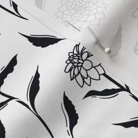 Autumn Dahlias - White&Black