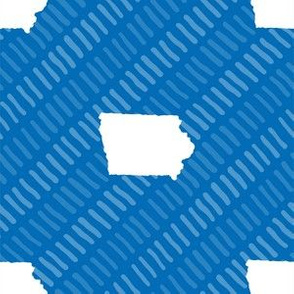 Iowa State Shape Stripes Blue and White Stripes