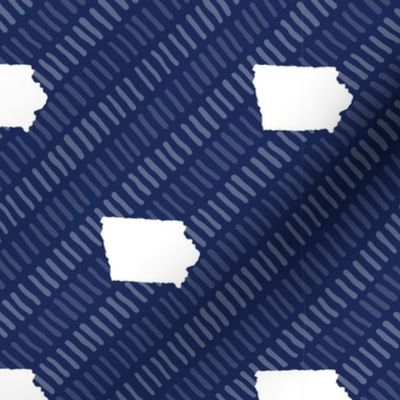 Iowa State Shape Stripes Dark Blue and White Stripes