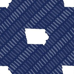 Iowa State Shape Stripes Dark Blue and White Stripes