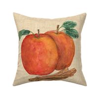 Apple and Cinnamon for Pillow