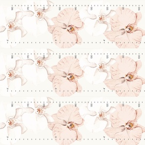 Height Chart // Pink and White Orchids flowers floral girls