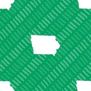 Iowa State Shape Stripes Green and White Stripes