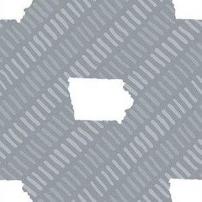 Iowa State Shape Stripes Grey and White Stripes
