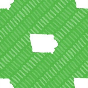 Iowa State Shape Stripes Lime Green and White Stripes