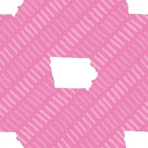 Iowa State Shape Stripes Pink and White Stripes