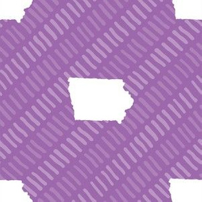 Iowa State Shape Stripes Purple and White Stripes