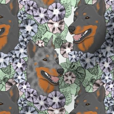 Floral cropped Beauceron portraits