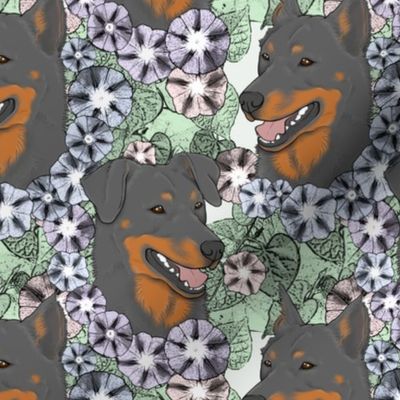Floral black and rust Beauceron portraits