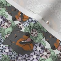 Small floral black and rust Beauceron portraits