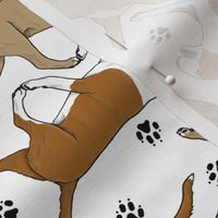 Trotting Bull Terriers colored and paw prints - white