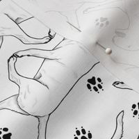 Trotting Bull Terriers white and paw prints - white