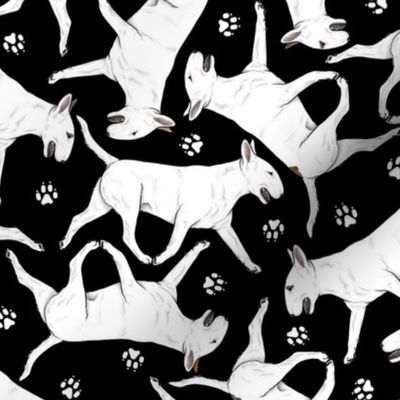 Trotting Bull Terriers white and paw prints - black