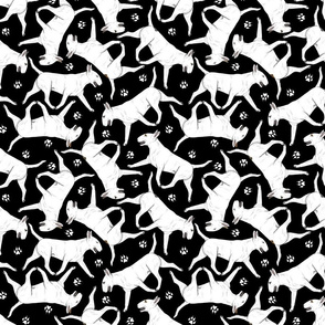 Trotting Bull Terriers white and paw prints - black
