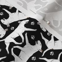 Tiny Trotting Bull Terriers white and paw prints - black