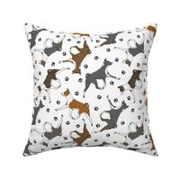 Trotting Basenjis and paw prints - white