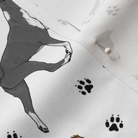 Trotting Basenjis and paw prints - white