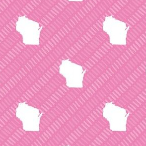 Wisconsin State Shape Pattern Pink and White Stripes