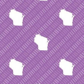 Wisconsin State Shape Pattern Purple and White Stripes