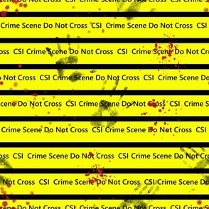 CSI Crime Scene 