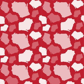 Wisconsin State Shape Pattern Red and White