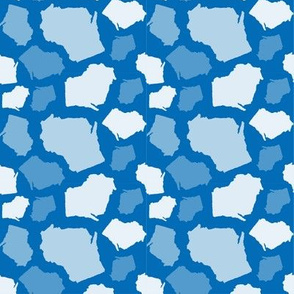 Wisconsin State Shape Pattern Blue and White