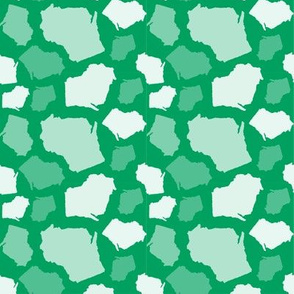 Wisconsin State Shape Pattern Green and White