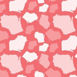Wisconsin State Shape Pattern Coral and White
