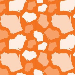 Wisconsin State Shape Pattern Orange and White