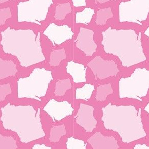 Wisconsin State Shape Pattern Pink and White