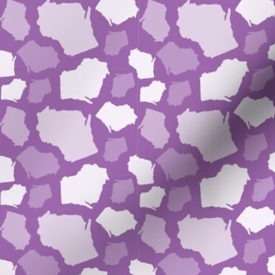 Wisconsin State Shape Pattern Purple and White