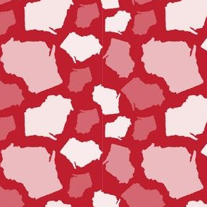 Wisconsin State Shape Pattern Red and White