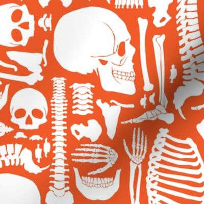 Halloween Skeleton Pattern Orange and White-01-01