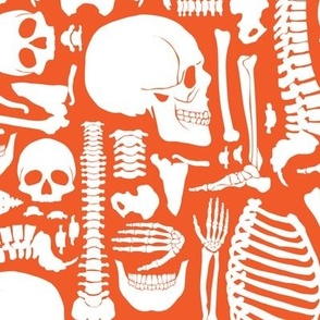 Halloween Skeleton Pattern Orange and White-01-01