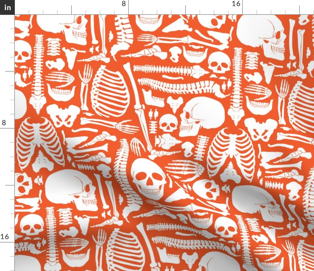Halloween Skeleton Pattern Orange and White-01-01